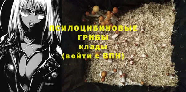 бутират Баксан