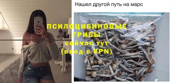 бутират Баксан