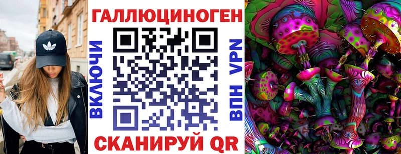 Псилоцибиновые грибы Psilocybe  наркотики  Цимлянск 